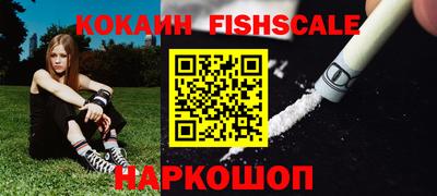 гашик Моздок