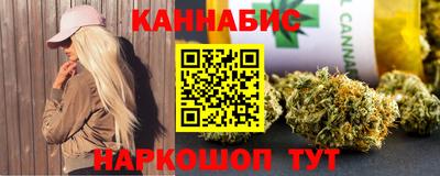 гашик Моздок