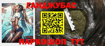 гашик Моздок