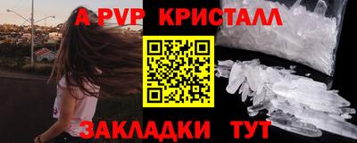 гашик Моздок