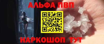 гашик Моздок
