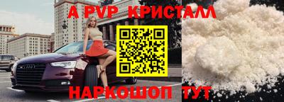 гашик Моздок