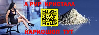 гашик Моздок
