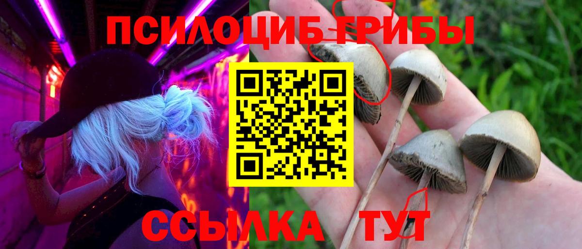 Псилоцибиновые грибы ЛСД  Вход с VPN  Владимир 